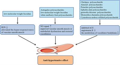 Cardiovascular Protective Effects of Plant Polysaccharides: A Review